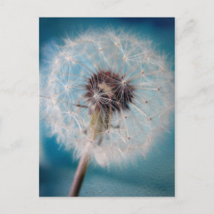 Erstellen einer Wunschpostkarte Postkarte