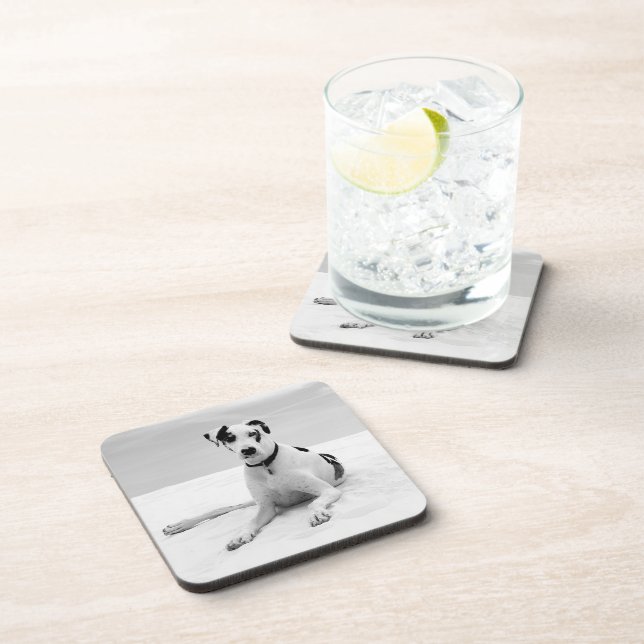 Erstellen eines eigenen Fotos-Upload Getränkeuntersetzer (Rechte Seite)