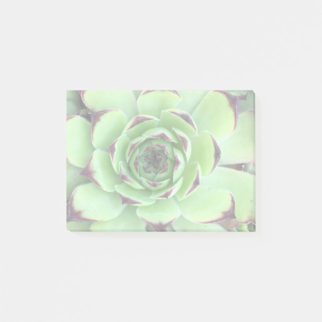 Erstellen eines hellen Fotos Post-it Klebezettel (Vorderseite)