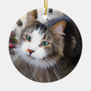 Erstellen Sie ganz einfach Ihre eigene benutzerdef Keramik Ornament