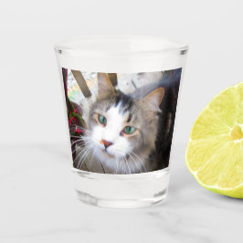 Erstellen Sie ganz einfach Ihre eigenen Add Photo Schnapsglas