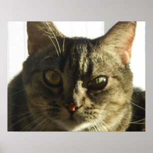 Erstellen Sie Ihr eigenes 20" x 16" Poster