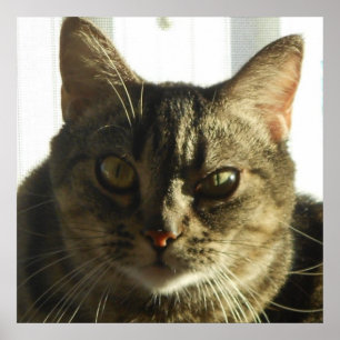 Erstellen Sie Ihr eigenes 24" x 24" Poster