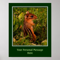 Erstellen Sie Ihr eigenes Angebot Baby Chipmunk Ti