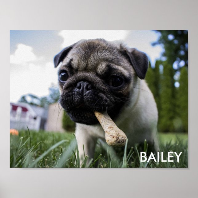 Erstellen Sie Ihr eigenes benutzerdefiniertes Foto Poster (Vorne)