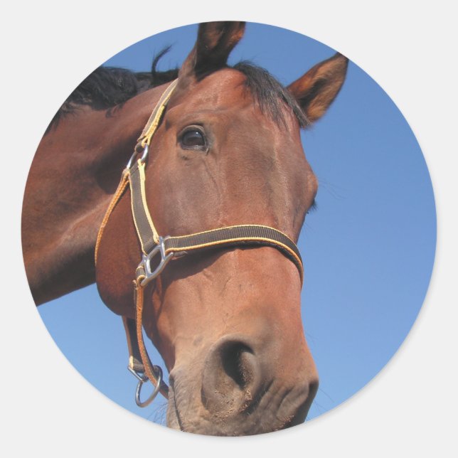 Erstellen Sie Ihr eigenes benutzerdefiniertes Foto Runder Aufkleber (Vorderseite)