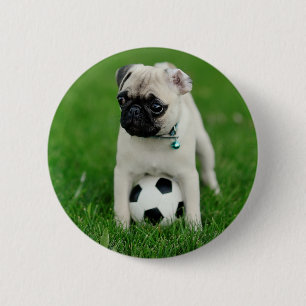 Erstellen Sie Ihr eigenes benutzerdefiniertes Haus Button