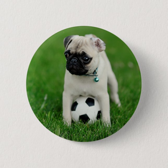 Erstellen Sie Ihr eigenes benutzerdefiniertes Haus Button (Vorderseite)