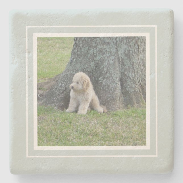 Erstellen Sie Ihr eigenes Foto Bauernhof Grün & We Steinuntersetzer (Vorderseite)