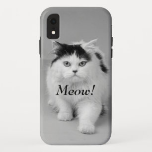 Erstellen Sie Ihr eigenes Foto Cat bewundernswert Case-Mate iPhone Hülle