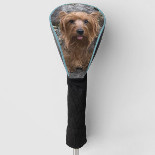 Erstellen Sie Ihr eigenes Foto für den Haustier m Golf Headcover