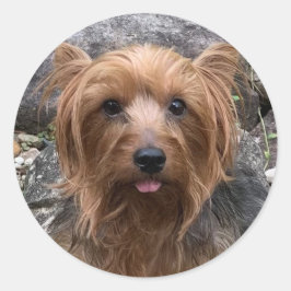 Erstellen Sie Ihr eigenes Foto für den Haustier Runder Aufkleber