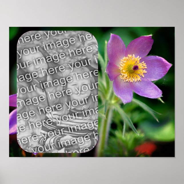 Erstellen Sie Ihr eigenes Foto für die Blume in Ra Poster (Vorne)