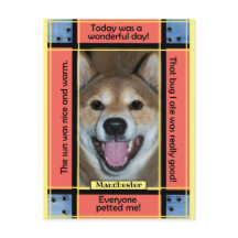 Erstellen Sie Ihr eigenes Foto für Haustiere Katze