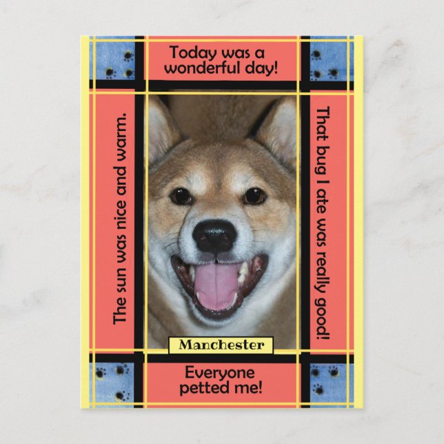 Erstellen Sie Ihr eigenes Foto für Haustiere Katze Postkarte (Vorderseite)