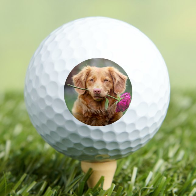 Erstellen Sie Ihr eigenes Foto Golfball (Create your Own Photo Golf Balls)
