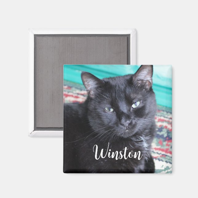 Erstellen Sie Ihr eigenes Foto und Ihren eigenen N Magnet (Vorderseite/Rückseite)