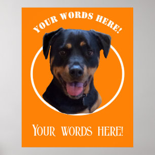 Erstellen Sie Ihr eigenes Foto und Text Poster