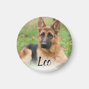 Erstellen Sie Ihr eigenes Haustier-Foto mit indivi Magnet