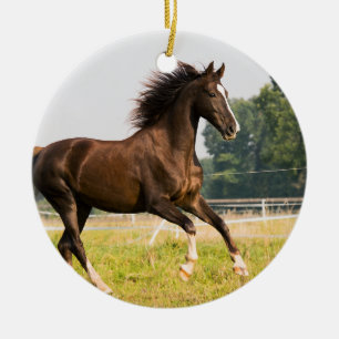 Erstellen Sie Ihr eigenes Haustier-Pferdefoto - Be Keramik Ornament
