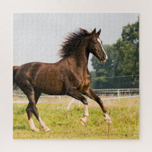 Erstellen Sie Ihr eigenes Haustier-Pferdefoto - Be Puzzle