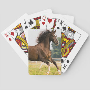 Erstellen Sie Ihr eigenes Haustier-Pferdefoto - Be Spielkarten
