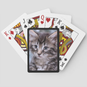 Erstellen Sie Ihr eigenes Haustierfoto mit schwarz Spielkarten