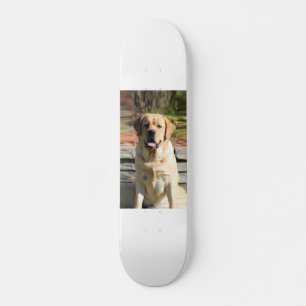 Erstellen Sie Ihr eigenes Heimtier-Hund-Foto Skateboard