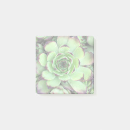 Erstellen Sie Ihr eigenes helles Foto Post-it Klebezettel