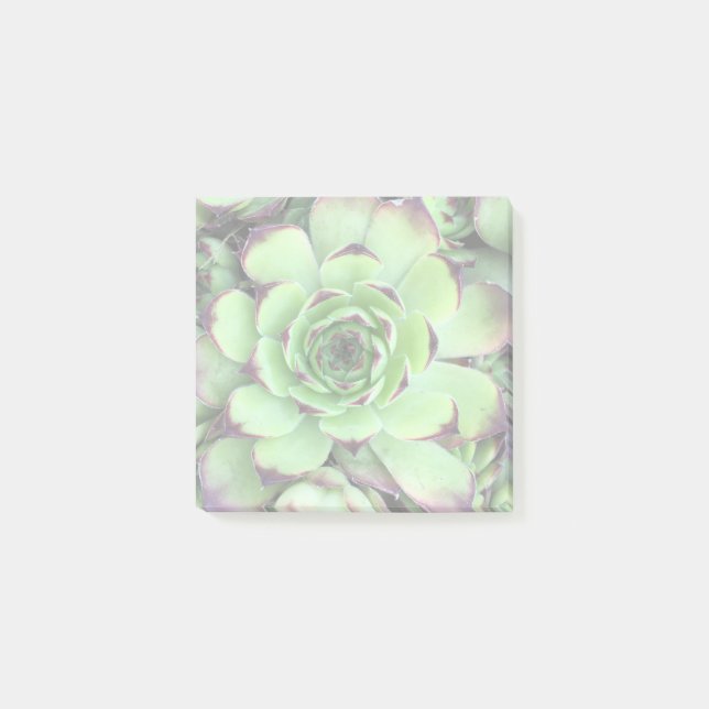 Erstellen Sie Ihr eigenes helles Foto Post-it Klebezettel (Vorderseite)