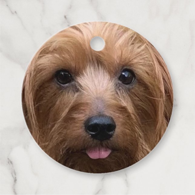 Erstellen Sie Ihr eigenes Hundebüt-Foto für den Ha Geschenkanhänger (Vorderseite)