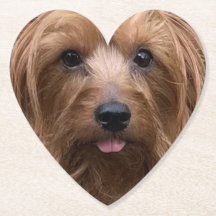 Erstellen Sie Ihr eigenes Hundebüt-Foto für den Ha