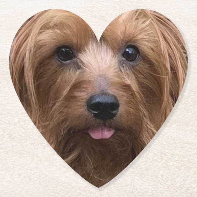 Erstellen Sie Ihr eigenes Hundebüt-Foto für den Ha Untersetzer (Vorderseite)