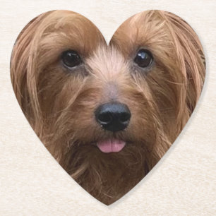 Erstellen Sie Ihr eigenes Hundebüt-Foto für den  Untersetzer