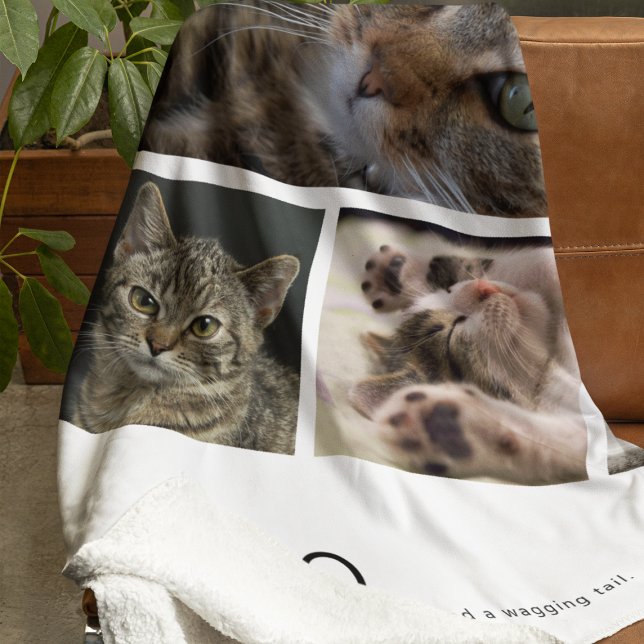 Erstellen Sie Ihr eigenes Katzenfoto Fleecedecke (Von Creator hochgeladen)