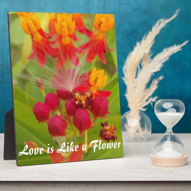 Erstellen Sie Ihr eigenes Live-Leben große individ Fotoplatte (Seite)