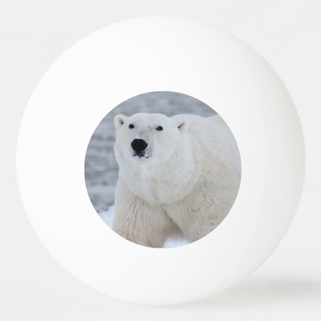 Erstellen Sie Ihr eigenes Personalisiertes Foto Tischtennisball (Vorderseite)