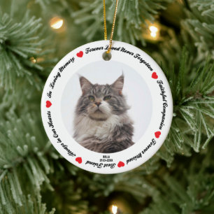 Erstellen Sie Ihr eigenes Pet Maine Coon Cat Memor Keramik Ornament