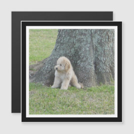 Erstellen Sie Ihr eigenes Schwarz-Weiß-Quadrat-Fot Magnetkarte