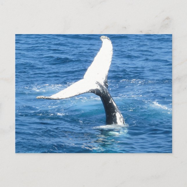 Erstellen Sie Ihre eigene Foto-Grußkarte Postkarte (Vorderseite)