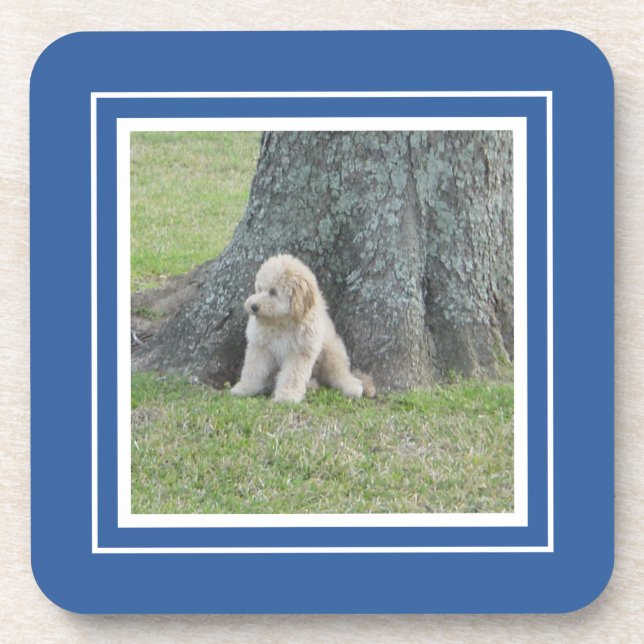 Erstellen Sie Ihre eigene Fotope Blau & Weiß Getränkeuntersetzer (Vorderseite)