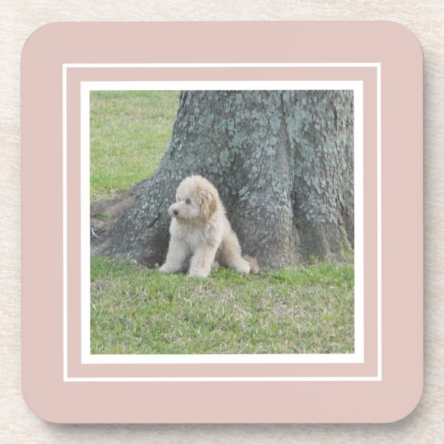 Erstellen Sie Ihre eigene Fotope Pink & White Getränkeuntersetzer (Vorderseite)