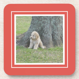 Erstellen Sie Ihre eigene Fotovorlage Koralle & We Getränkeuntersetzer