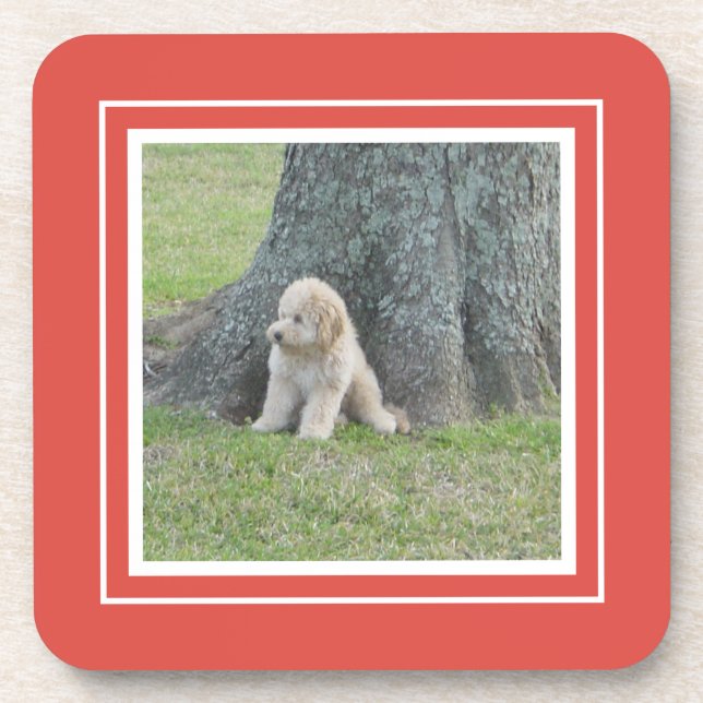 Erstellen Sie Ihre eigene Fotovorlage Koralle & We Getränkeuntersetzer (Vorderseite)