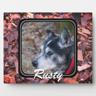 Erstellen Sie Ihre eigene Heimtierplakette Fotoplatte