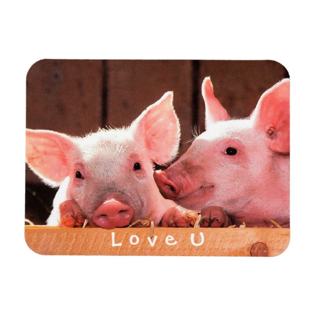 Erstellen Sie Ihre eigene lustige Foto-Liebe, die  Magnet (Horizontal)