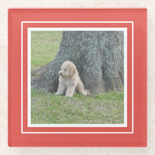 Erstellen Sie Ihre eigene moderne Fotovorlage Rot Glasuntersetzer