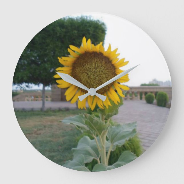 Erstellen Sie Ihre eigene perfekte Zeit Große Wanduhr (Vorderseite)