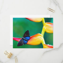 Erstellen Sie Ihre eigene Personalisierte, benutze Einladungspostkarte