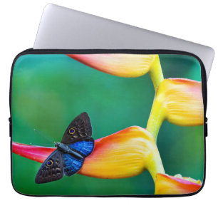 Erstellen Sie Ihre eigene Personalisierte, benutze Laptopschutzhülle